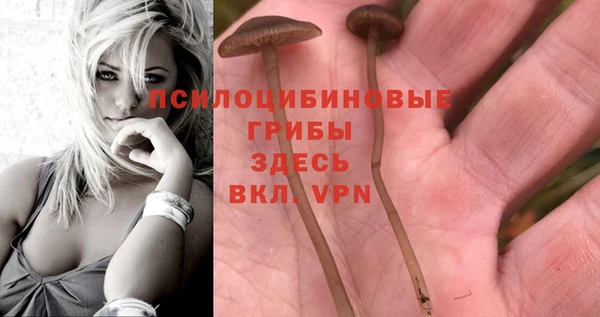 мефедрон мука Ельня