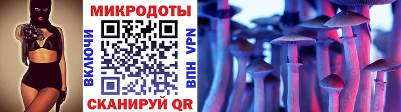Псилоцибиновые грибы прущие грибы  Купить закладки  Искитим 