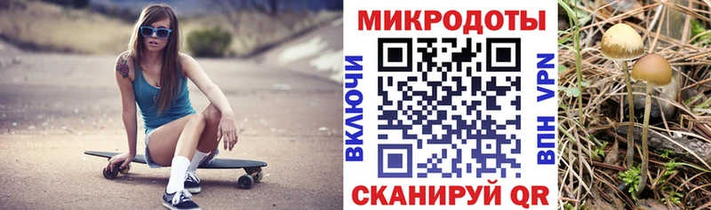 Псилоцибиновые грибы прущие грибы Искитим